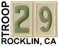Rocklin Lions Troop 29